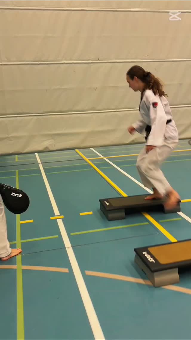 Hausjärvi Hong Taekwondo ry